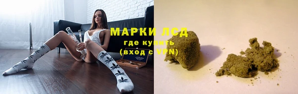спайс Алзамай