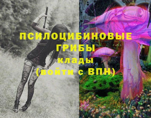спайс Алзамай